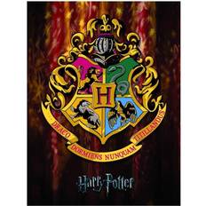 Wood Posters Harry Potter 30cm, Multicoloured Hogwarts Crest Framed Poster