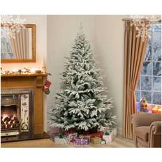 White Interior Details Garden Store Direct Lapland Fir Christmas Tree