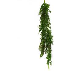 Artificial Plants on sale Leaf 100Cm Hanging String Of Pearls Fern Dark Artificial Plant