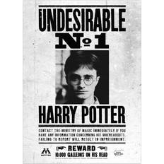 Wood Posters Harry Potter 30cm, Black/White Undesirable No. 1 Poster