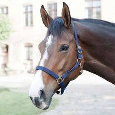 Rosa Grimmor ELDORADO HorseGuard Nylongrimma Petrol Shetland - Marinblå