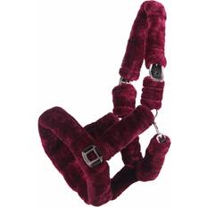 Equitación QHP Cabezada De Cuadra Alaska - Burgundy/Black