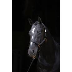 Cob Grimmor Kerbl Covalliero TopLine Grimma Black unisex