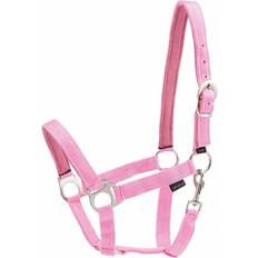 Longes et Licols Horse Guard Licol pour cheval en nylon Rose