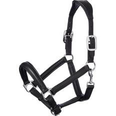 LeMieux Anatomisches Lederhalfter - Black