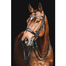 Ridesport Schockemöhle Equitus Gamma Trense Black/Patent Grey unisex