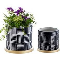 Olly & Rose Cleo Designer Black Plant Pots