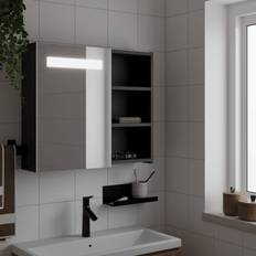 Armoires de Toilette avec Miroir vidaXL Bathroom Mirror Cabinet with Light