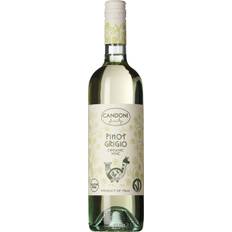 Candoni Pinot Grigio Organic 2021