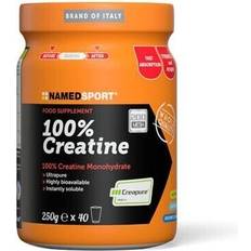 Creatina Namedsport kreatin 100 % kreatin 250