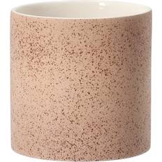 Speckled kruka
