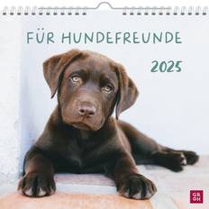 Gold Kalender & Notizblöcke Groh Wandkalender 2025: Für Hundefreunde