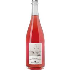 Ermete Phermento Lambrusco Metodo Secco Vintage