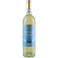 Allegrini Hvidvine Allegrini Corte Giara Pinot Grigio