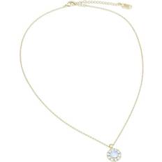 Lily and Rose Sofia Flamingo Dam Guld