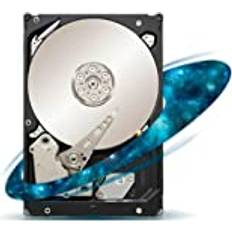 Seagate intern hårddisk Constellation ES.2 ST33000650NS 3,5–3 TB 3 års garanti