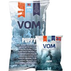Vom Puppy 2,5