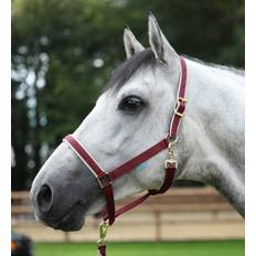 Bucas Grimer Bucas Dublin Halter Wine X-Full