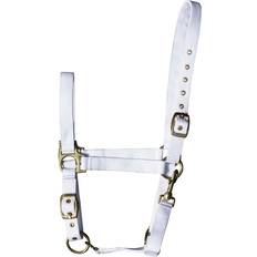 White Halters & Lead Ropes Harrys Horse Halter For - Blanc