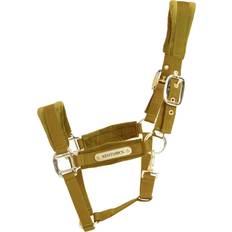 Kentucky Velvet Halter - Bleu