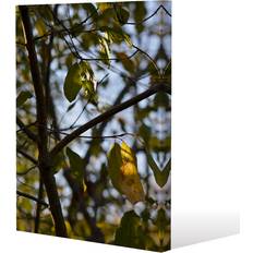 leaves and branches Canvas Print