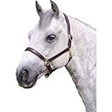 Cob Horse Halters Shires Velociti Gara Ragley Lined Leather Headcollar - Havana