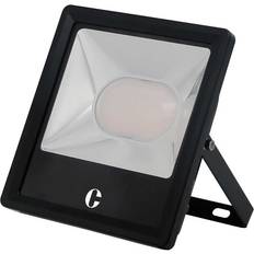 Collingwood 50W Floodlight