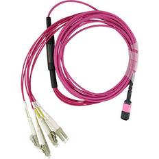 BlueOptics BlueOptics EMC CBL-MPO12-4LC-OM4-5M OM4 Patchkabel 5