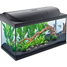 Tetra Starter Line 105 L Aquarium Komplett-Set