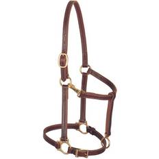 Horse Halters Weaver 3/4" Track Halter