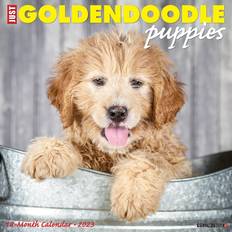 Gold Calendars Goldendoodle Puppies 2023 Wall Calendar