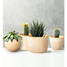 Design Living Olly & Rose Portofino Terracotta Plant Pots