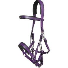 Purple Bridles Zilco Marathon Endurance Bridle Arab/Full Purple