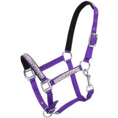 Horse Halters Tough-1 Miniature Adjustable Crystal Overlay Nylon Halter Purple Miniature