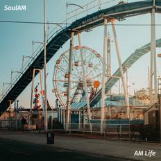 Soul Am: Am Life (Vinyl)