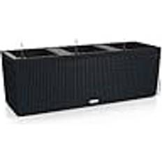 Lechuza Plantekasser Lechuza TRIO Cottage graphite black Plantekasse