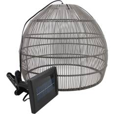 Callow Outdoor Solar Light