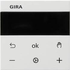 Gira Elektroartikel Gira RTR Display rws 539303