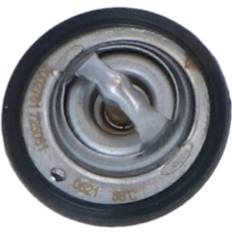 Termosifoni NRF Termostato Refrigerante 725061