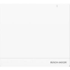 Switches Busch-Jaeger System Access Point 2.0 SAP/S.13