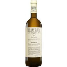 Vinos Blancos Terras Gauda 2024 Añada Actual Vino Blanco 1 Botella x 750 ml