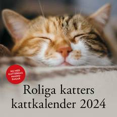 Roliga katters kattkalender 2024