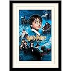 Harry Potter Mounted & 30X40 Print Poster