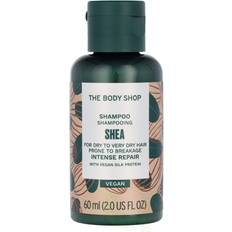 Intense Repair Shampoo