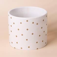 Leaf Gold Dot Planter Plant Pot 18 X X