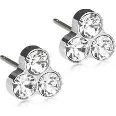 Blomdahl St Clover Titanium Øreringe med Krystal