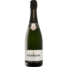 Wijnen Ferrari Sparkling Wine Brut 750 ml