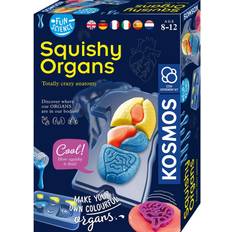 Kosmos Speelgoed Kosmos Squishy Organen Maken