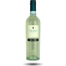 Pinot Grigio della Venezie 2022 Cantine Lenotti