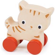 Kitten on Wheels